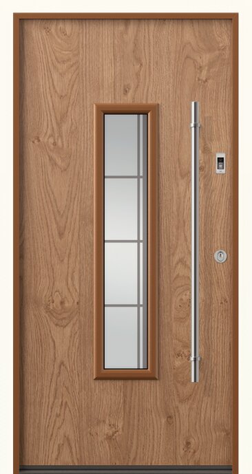 Wohnungseingangstür mit Glasausschnitt (Motivglas), Stangengriff und Fingerscan