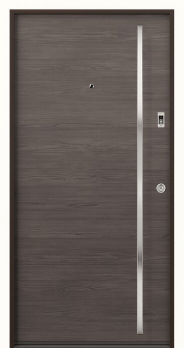 Wohnungseingangstür mit Stangengriff und Fingerscan